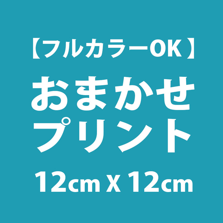 Goods Made おまかせプリント 【ワンポイント】12cm x 12cm 以内 (バック)