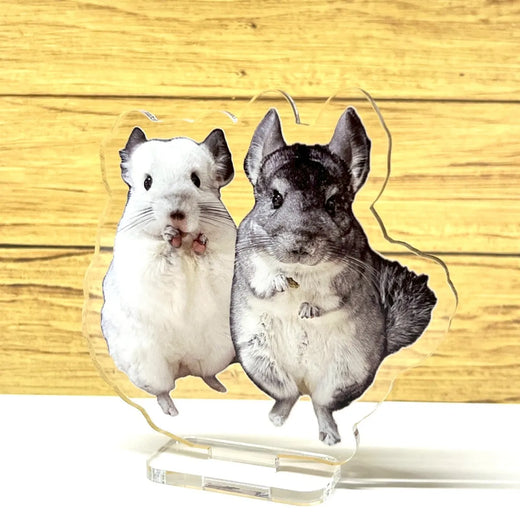 オリジナルアクリルスタンド【製作事例】ベイfamily様