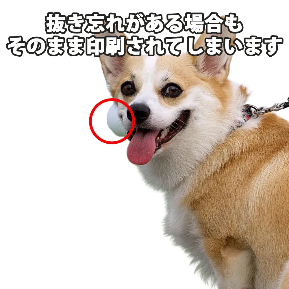 抜き忘れ・背景透過のデータについて